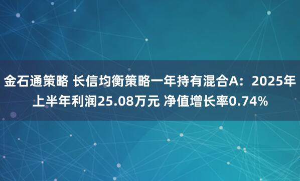 金石通策略 长信均衡策略一年持有混合A：2025年上半年利润25.08万元 净值增长率0.74%