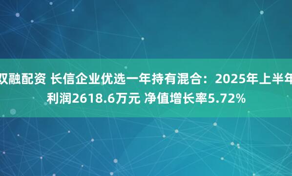 双融配资 长信企业优选一年持有混合：2025年上半年利润2618.6万元 净值增长率5.72%