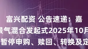 富兴配资 公告速递:嘉实新兴景气混合发起式2025年10月29日暂停申购、赎回、转换及定期定额投资业务