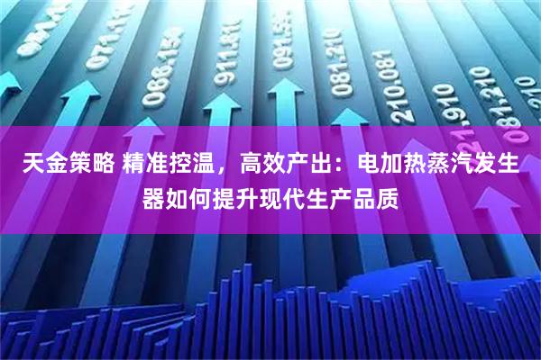 天金策略 精准控温，高效产出：电加热蒸汽发生器如何提升现代生产品质
